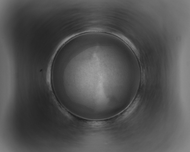 X0000100930862200806241404