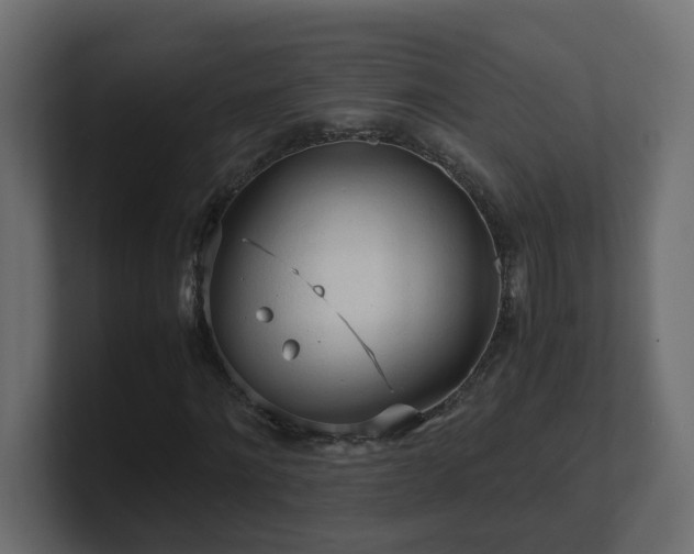 X0000100930868200806241403