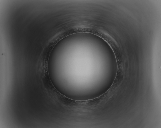 X0000100930870200806241403