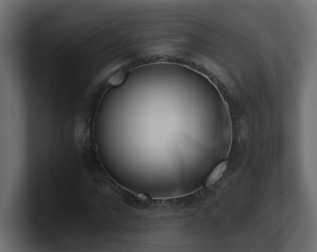 X0000100930872200806241403