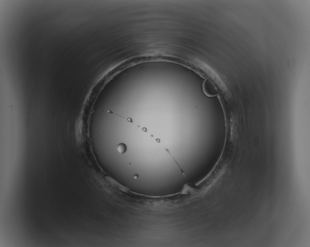 X0000100930876200806241403