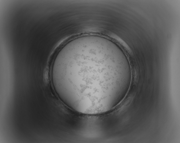 X0000100930878200806241403