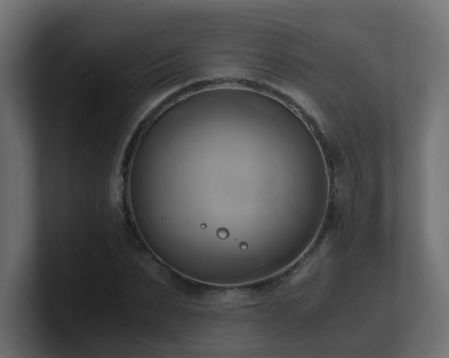 X0000100930879200806241403