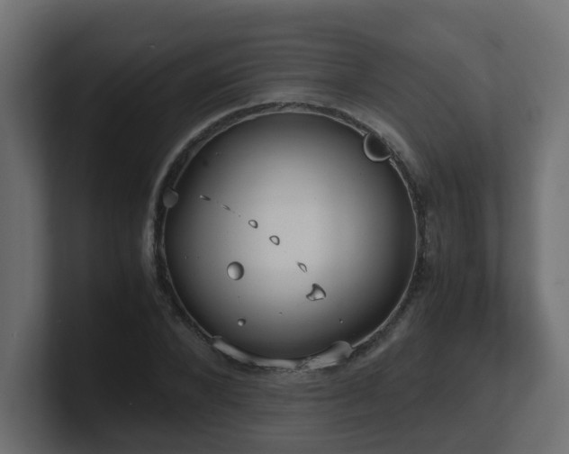 X0000100930880200806241403