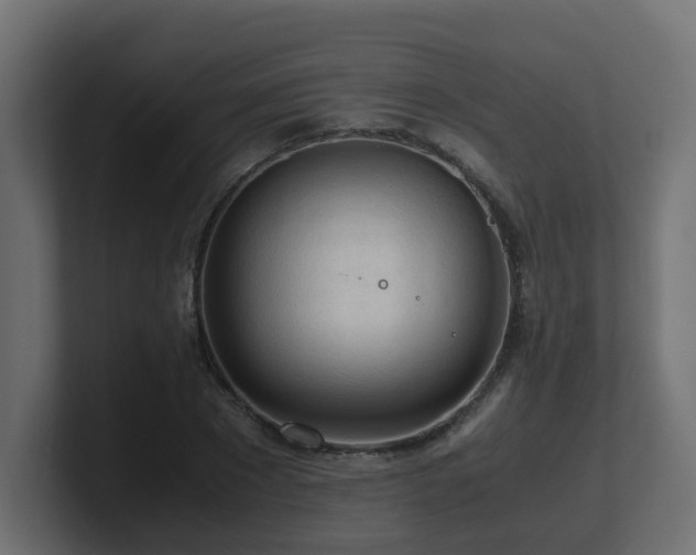 X0000100930881200806241403