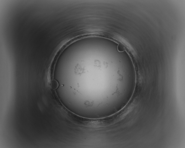 X0000100930883200806241403