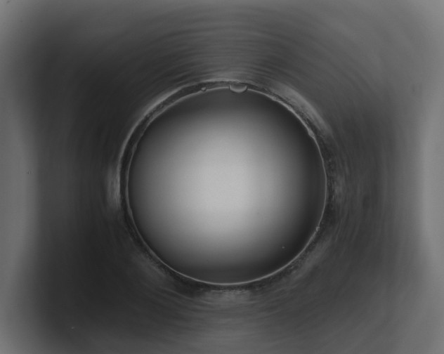 X0000100930884200806241403