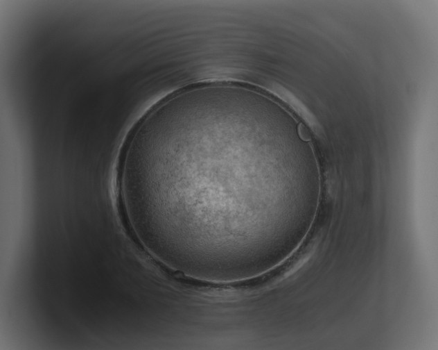 X0000100930885200806241403