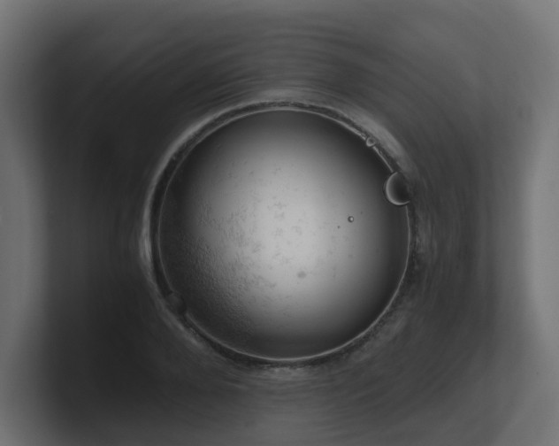 X0000100930888200806241403