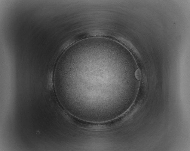 X0000100930889200806241403