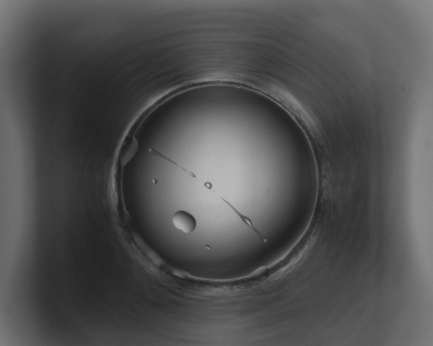 X0000100930892200806241403