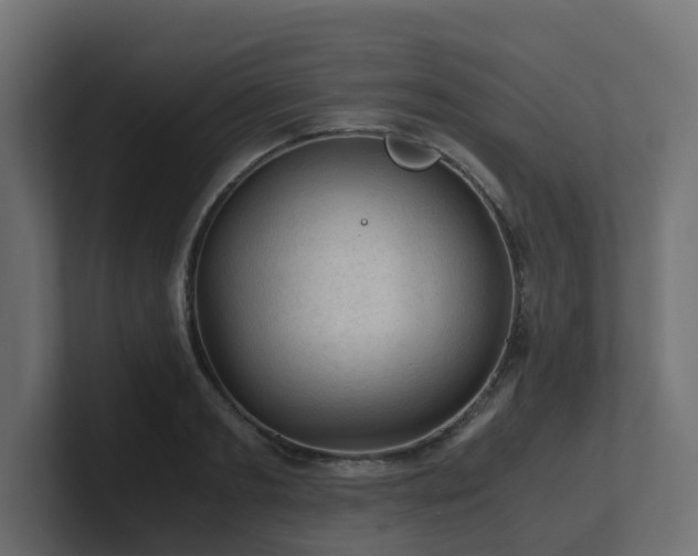 X0000100930893200806241403