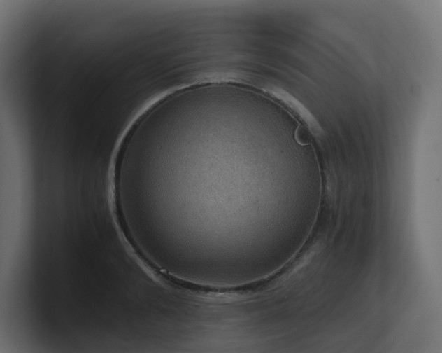 X0000100930894200806241403