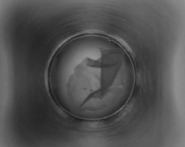 X0000100930895200806241403