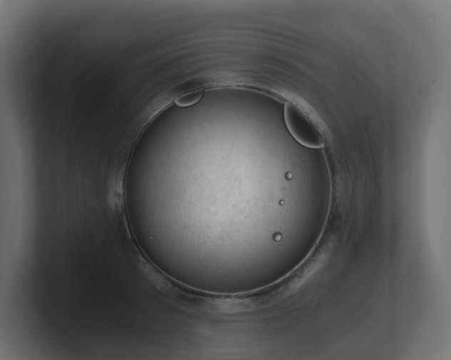 X0000100930897200806241403