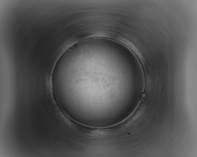 X0000100930898200806241403