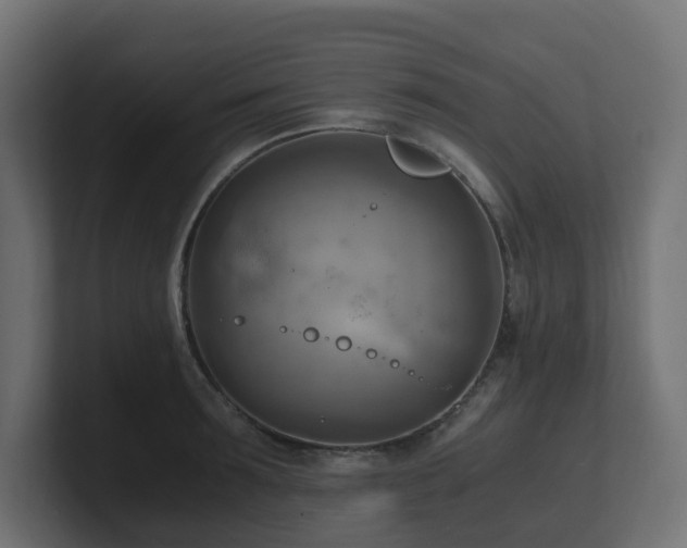 X0000100930899200806241403