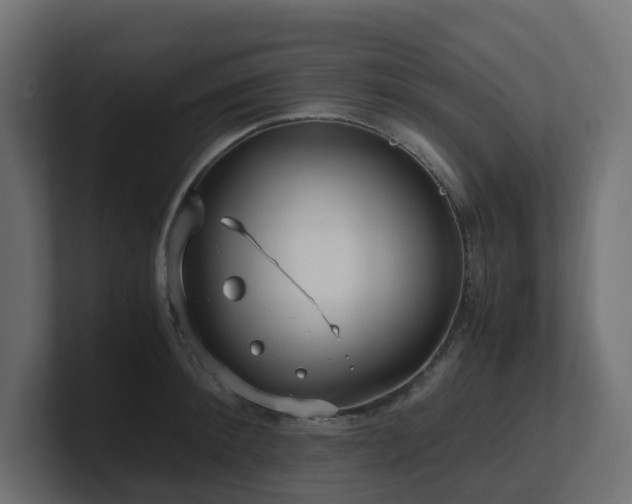 X0000100930900200806241403