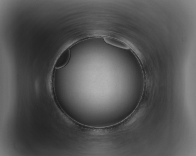 X0000100930901200806241403