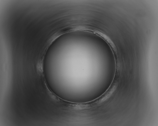 X0000100930905200806241403