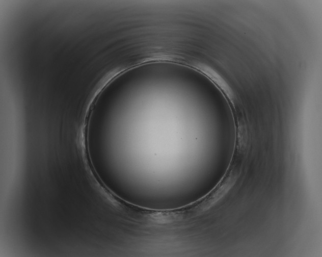 X0000100930906200806241403