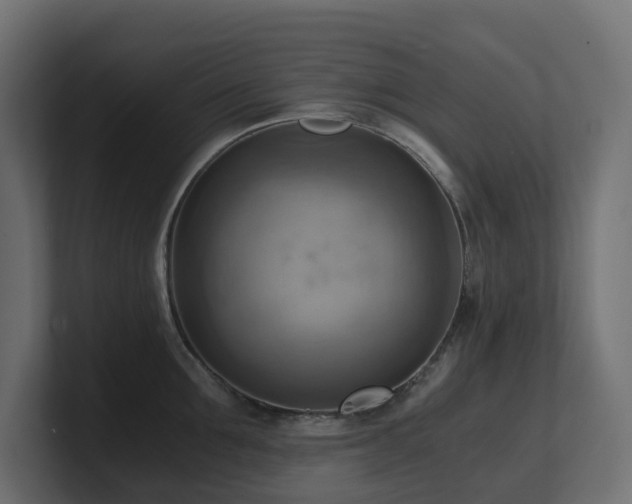 X0000100930907200806241403