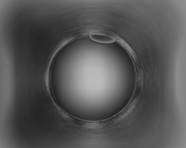 X0000100930909200806241403