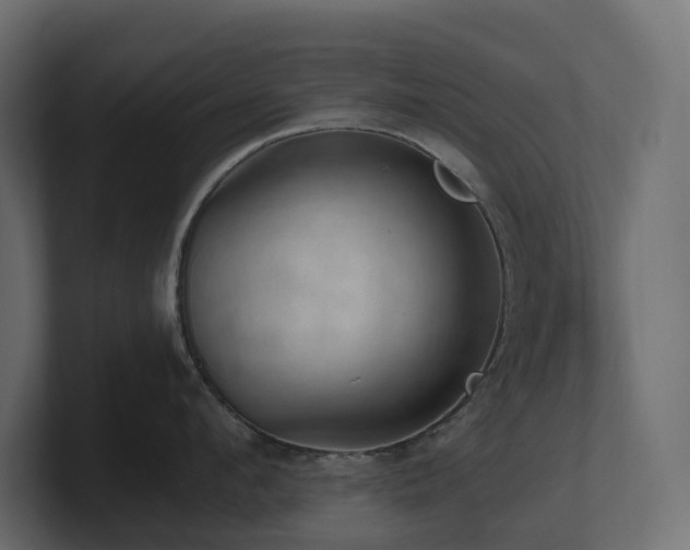 X0000100930912200806241402