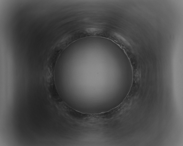 X0000100930917200806241402