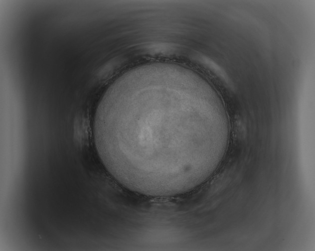 X0000100930918200806241402