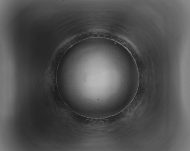 X0000100930919200806241402