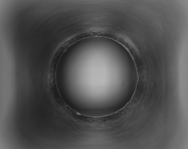 X0000100930920200806241402