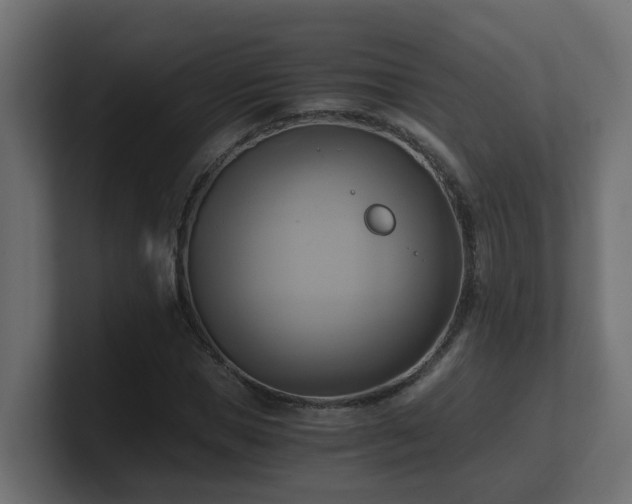 X0000100930921200806241402