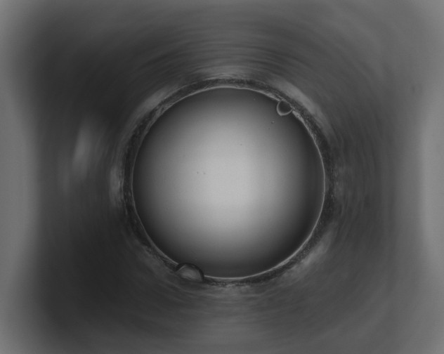 X0000100930922200806241402