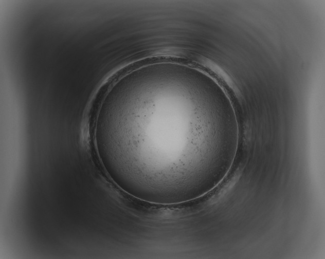 X0000100930923200806241402