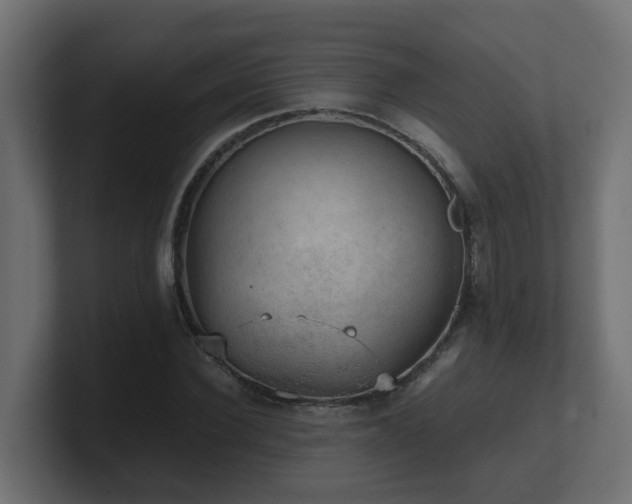 X0000100930924200806241402