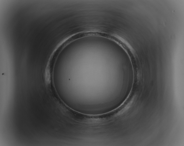 X0000100930925200806241402