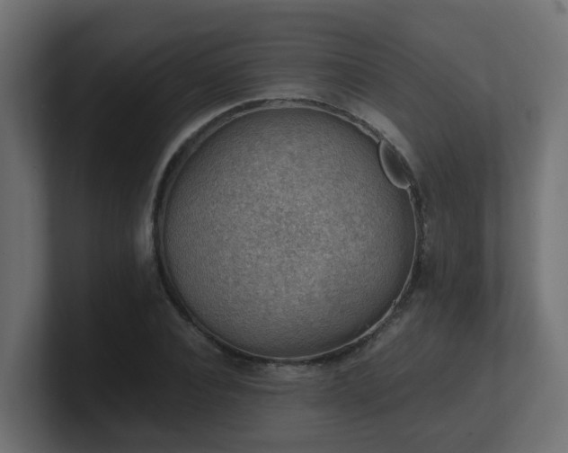 X0000100930928200806241402