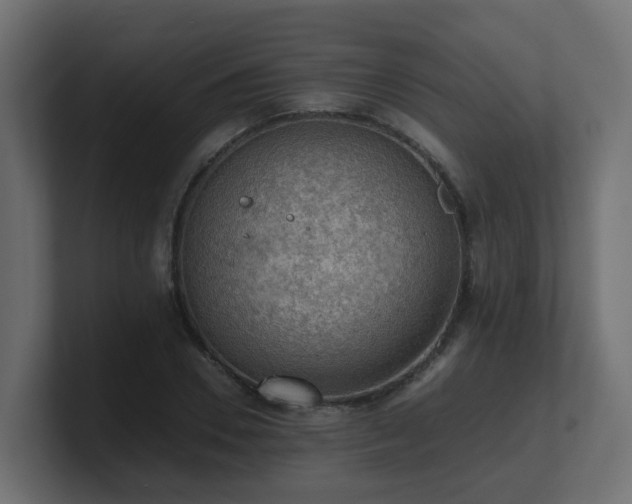 X0000100930930200806241402