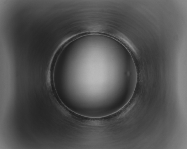 X0000100930932200806241402