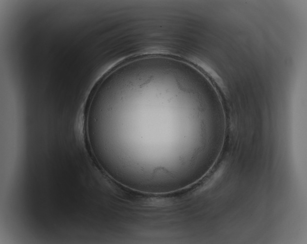 X0000100930933200806241402