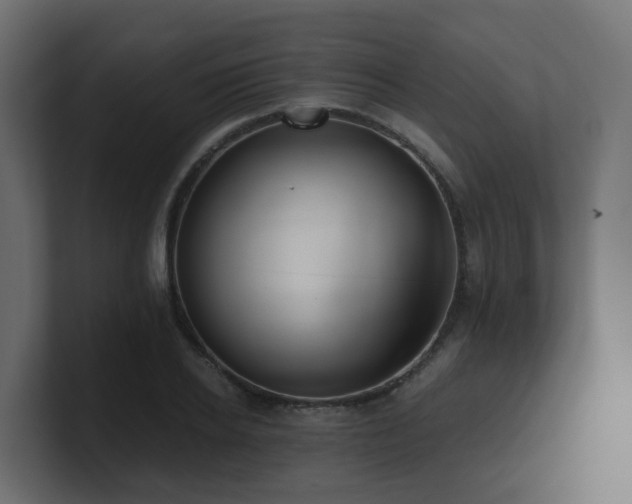 X0000100930934200806241402