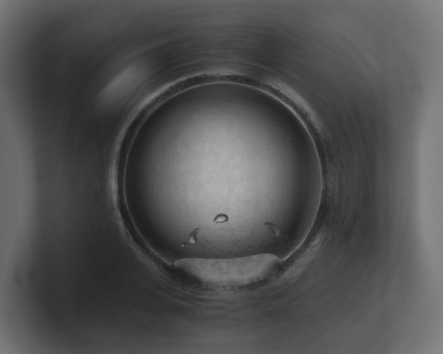 X0000100930935200806241402