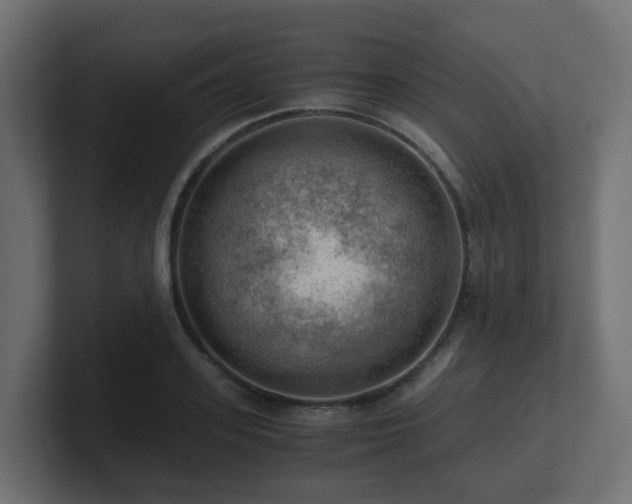 X0000100930939200806241402