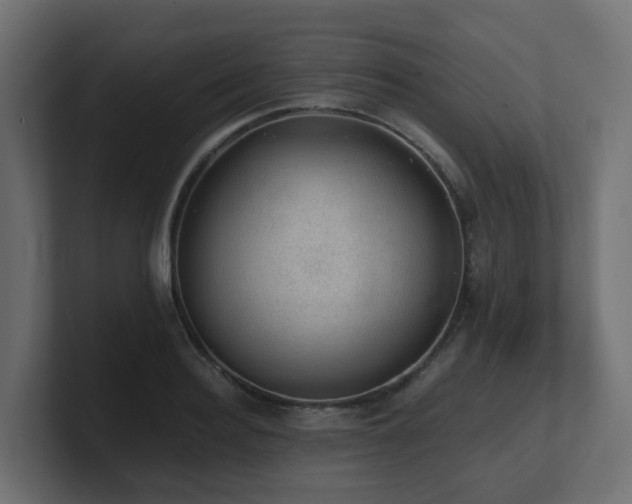 X0000100930940200806241402