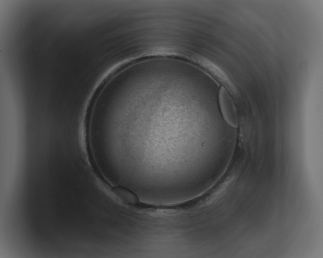 X0000100930942200806241402