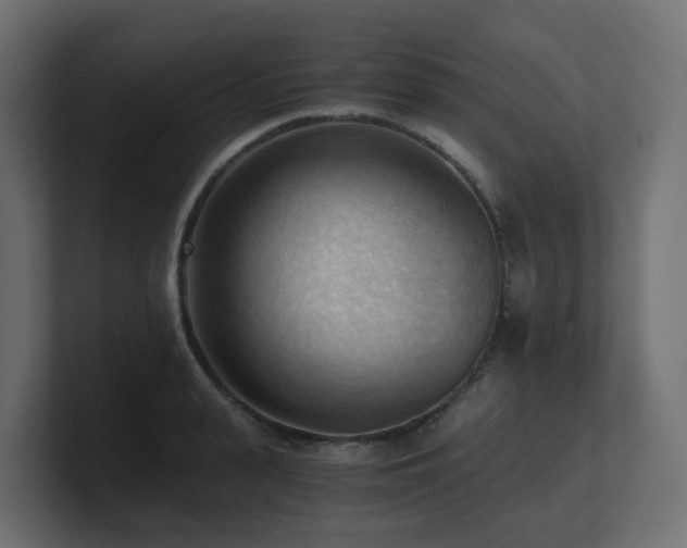 X0000100930943200806241402