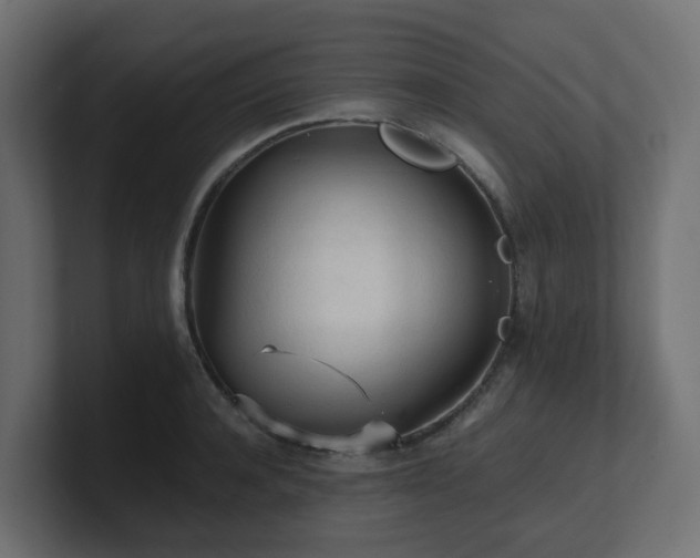 X0000100930944200806241402