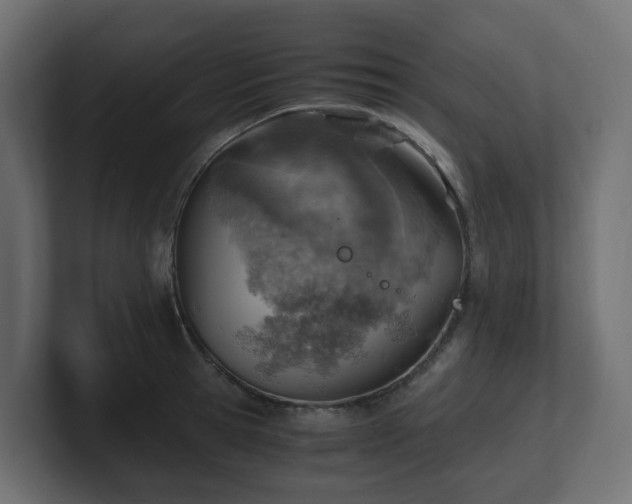 X0000100930945200806241402