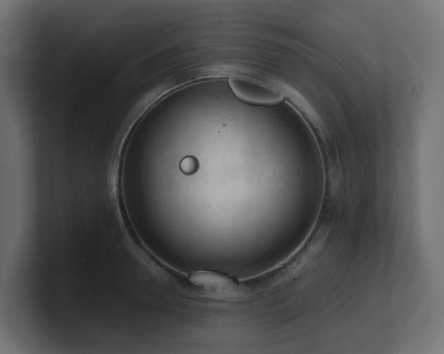 X0000100930946200806241402